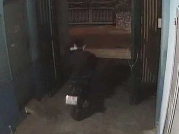 Clip tên trộm vào phòng trọ lục tìm tài sản như chốn không người