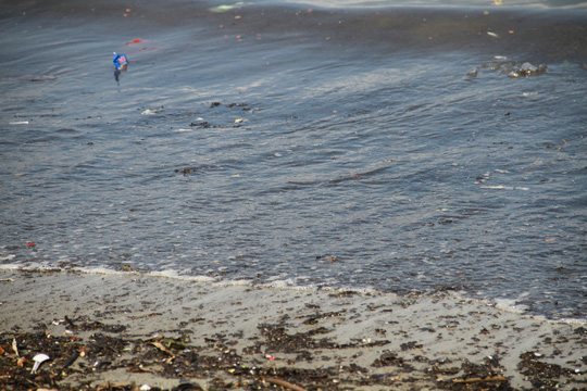 Đà Nẵng: Xuất hiện nước biển đen ngòm và bốc mùi hôi bất thường