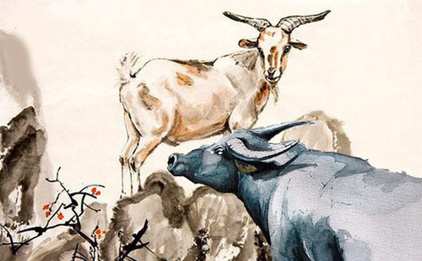 6 cặp con giáp hễ cưới nhau là vận xui đeo bám, không nghèo mạt vận cũng đứt gánh giữa đường