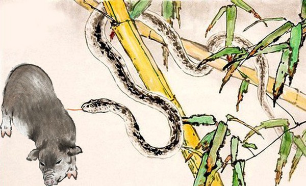 6 cặp con giáp hễ cưới nhau là vận xui đeo bám, không nghèo mạt vận cũng đứt gánh giữa đường