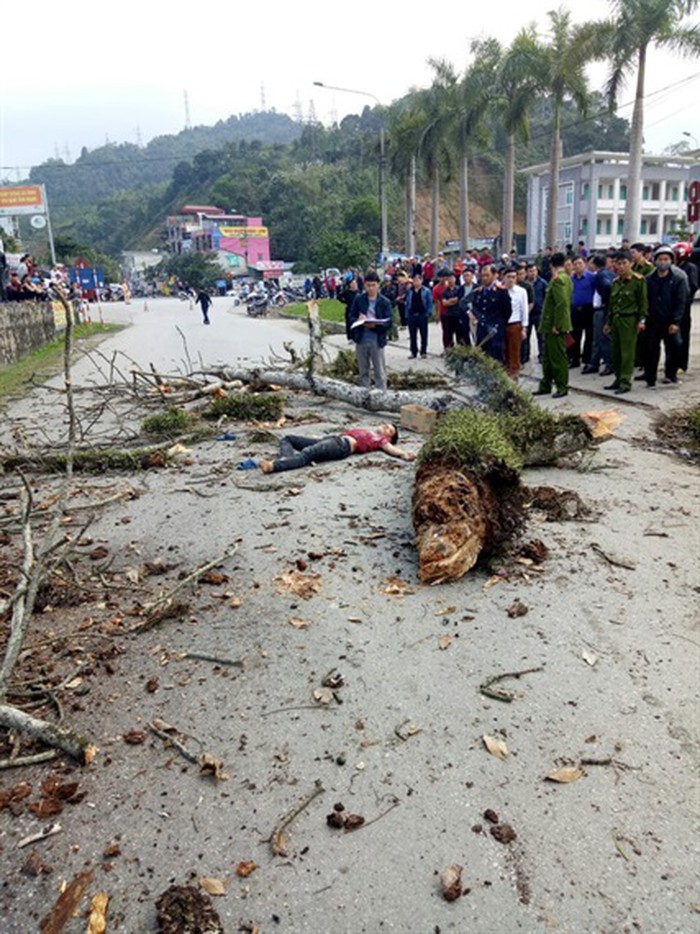 Video: Thong dong tản bộ gần bến xe, nam thanh niên Hà Giang bất ngờ bị cành cây gạo rơi trúng đầu, tử vong tại chỗ Video: Thong dong tản bộ gần bến xe, nam thanh niên Hà Giang bất ngờ bị cành cây gạo rơi trúng đầu, tử vong tại chỗ