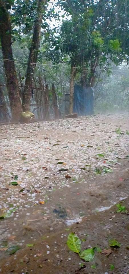 Mưa đá lớn kéo dài làm nhà dân, rau màu thiệt hại