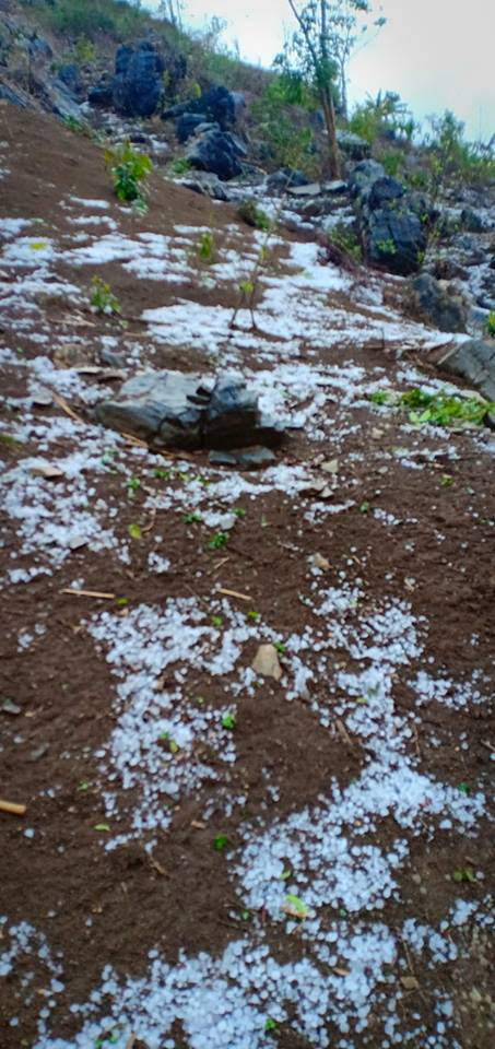 Mưa đá lớn kéo dài làm nhà dân, rau màu thiệt hại