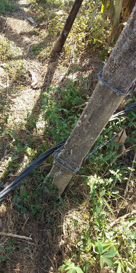 Đi qua hàng rào nhiễm điện, 2 vợ chồng chết thảm