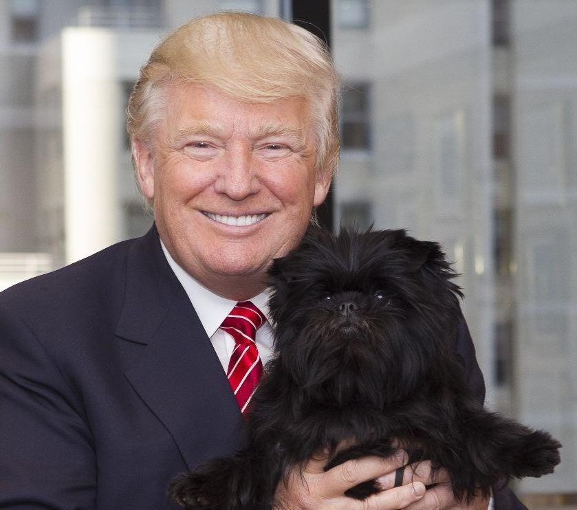 TT Trump phá vỡ truyền thống nuôi chó hơn 120 năm qua ở Nhà Trắng