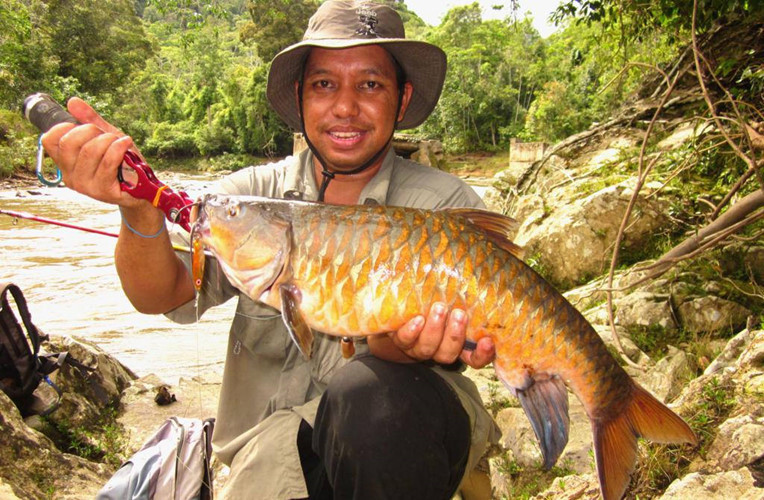 Cá đặc sản được mệnh danh vong bất liễu ngư có giá quý như vàng