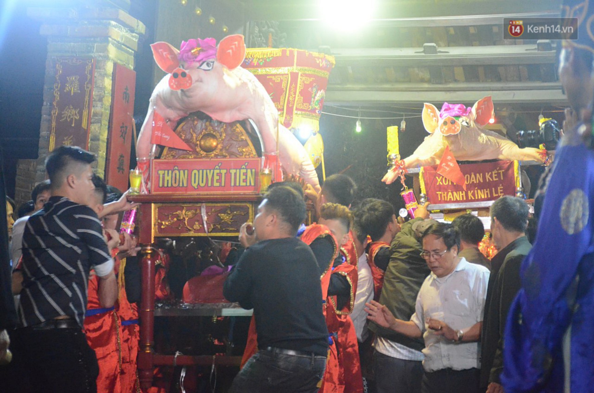 Hà Nội: Dùng kim khâu vào da của 17 ông lợn để thực hiện lễ rước và tế lợn trong đêm ở làng La Phù