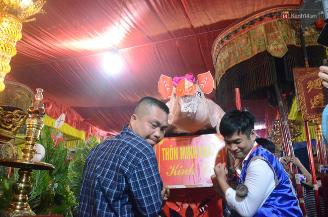 Hà Nội: Dùng kim khâu vào da của 17 ông lợn để thực hiện lễ rước và tế lợn trong đêm ở làng La Phù Hà Nội: Dùng kim khâu vào da của 17 ông lợn để thực hiện lễ rước và tế lợn trong đêm ở làng La Phù