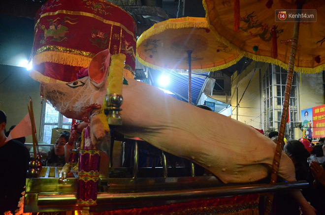 Hà Nội: Dùng kim khâu vào da của 17 ông lợn để thực hiện lễ rước và tế lợn trong đêm ở làng La Phù Hà Nội: Dùng kim khâu vào da của 17 ông lợn để thực hiện lễ rước và tế lợn trong đêm ở làng La Phù