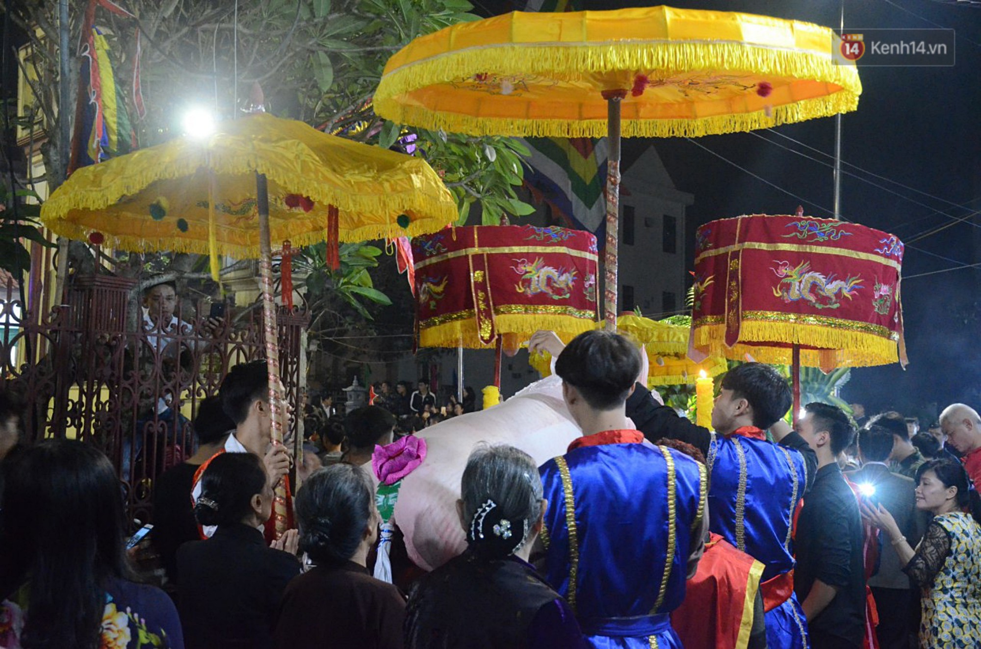 Hà Nội: Dùng kim khâu vào da của 17 ông lợn để thực hiện lễ rước và tế lợn trong đêm ở làng La Phù