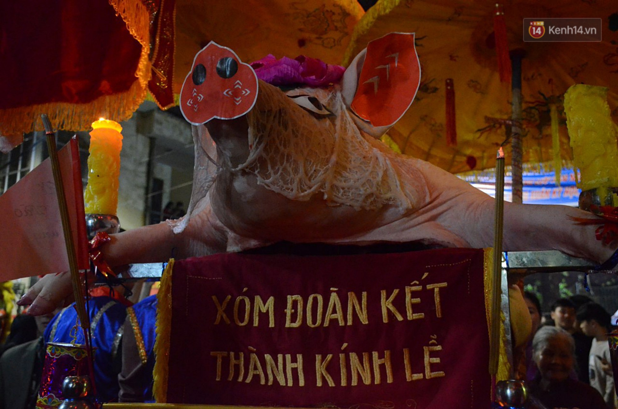 Hà Nội: Dùng kim khâu vào da của 17 ông lợn để thực hiện lễ rước và tế lợn trong đêm ở làng La Phù