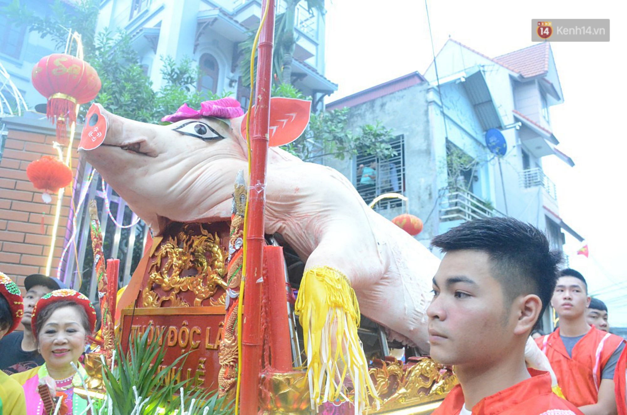 Hà Nội: Dùng kim khâu vào da của 17 ông lợn để thực hiện lễ rước và tế lợn trong đêm ở làng La Phù