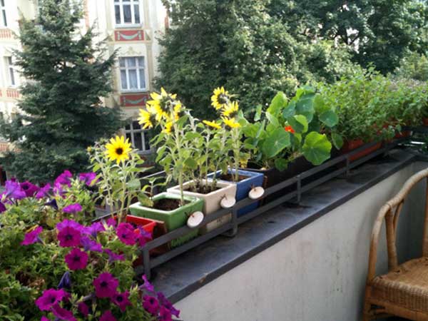 Sao xấu chiếu mệnh, người đàn ông vét sạch cửa nhà đi cúng lễ