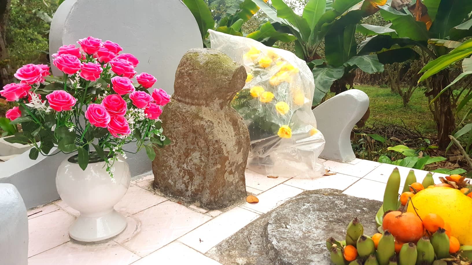 Bình luận Kỳ lạ ngôi làng có tục thờ chó đá 400 tuổi ở Hà Nội