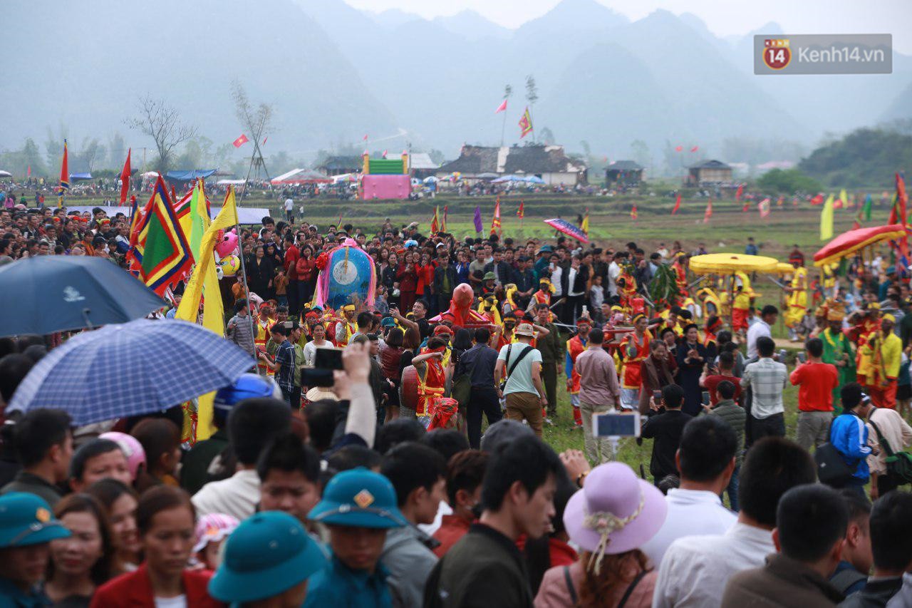 Người dân chen chân chụp ảnh bên cạnh của quý khổng lồ trong lễ hội độc nhất vô nhị ở Việt Nam