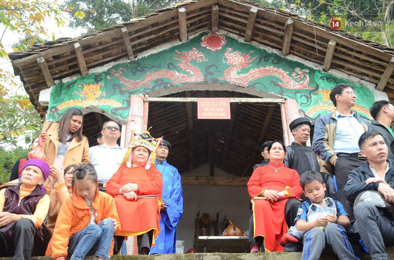 Người dân chen chân chụp ảnh bên cạnh của quý khổng lồ trong lễ hội độc nhất vô nhị ở Việt Nam