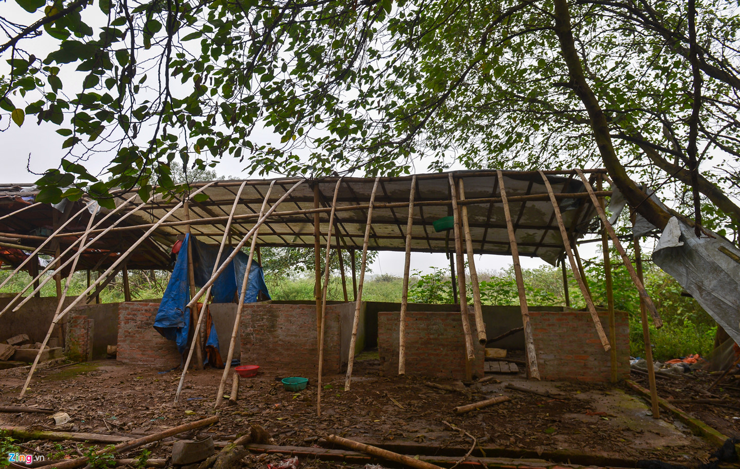 Cuộc sống trên hòn đảo bí hiểm giữa sông Hồng