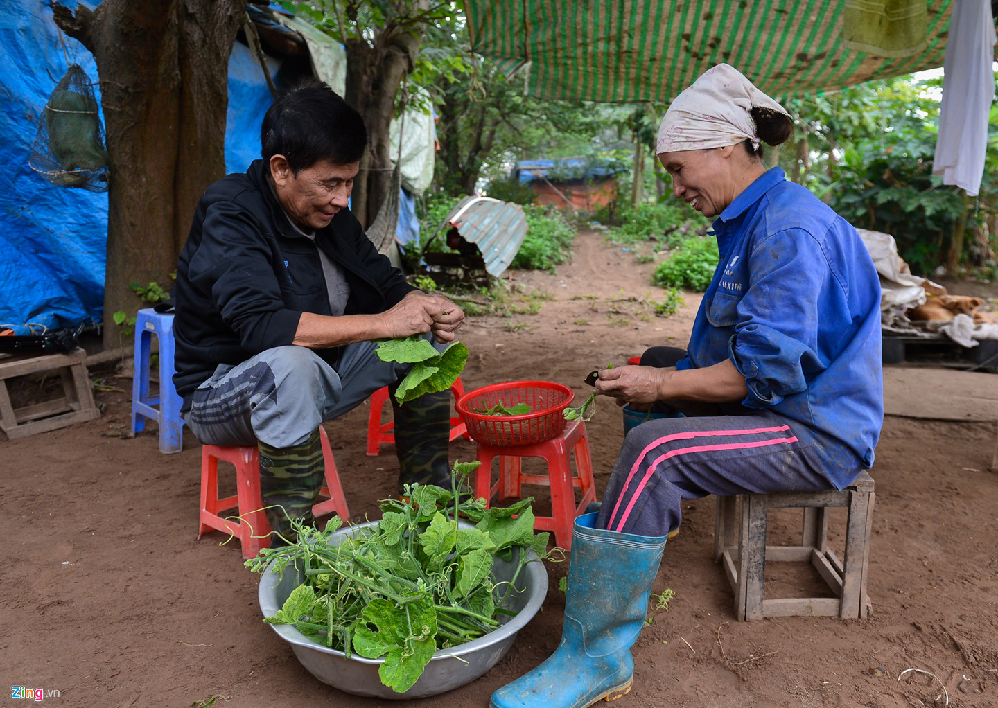 Cuộc sống trên hòn đảo bí hiểm giữa sông Hồng