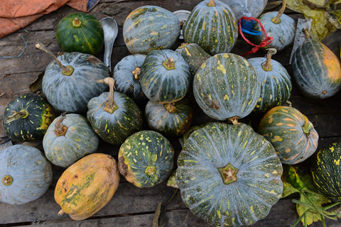 Cuộc sống trên hòn đảo bí hiểm giữa sông Hồng