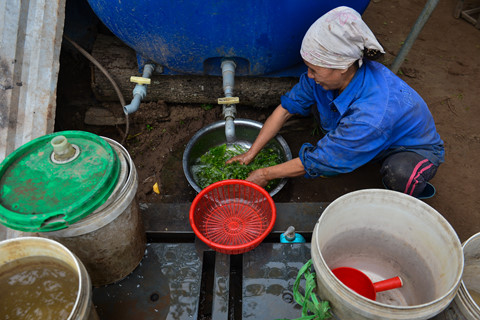Cuộc sống trên hòn đảo bí hiểm giữa sông Hồng