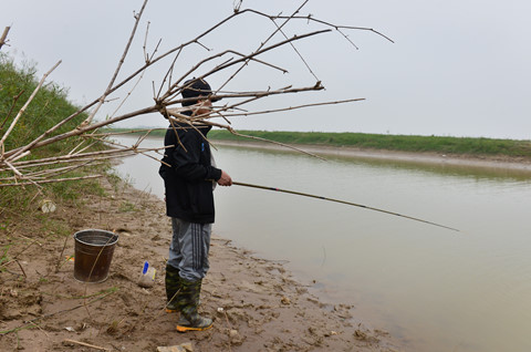 Cuộc sống trên hòn đảo bí hiểm giữa sông Hồng