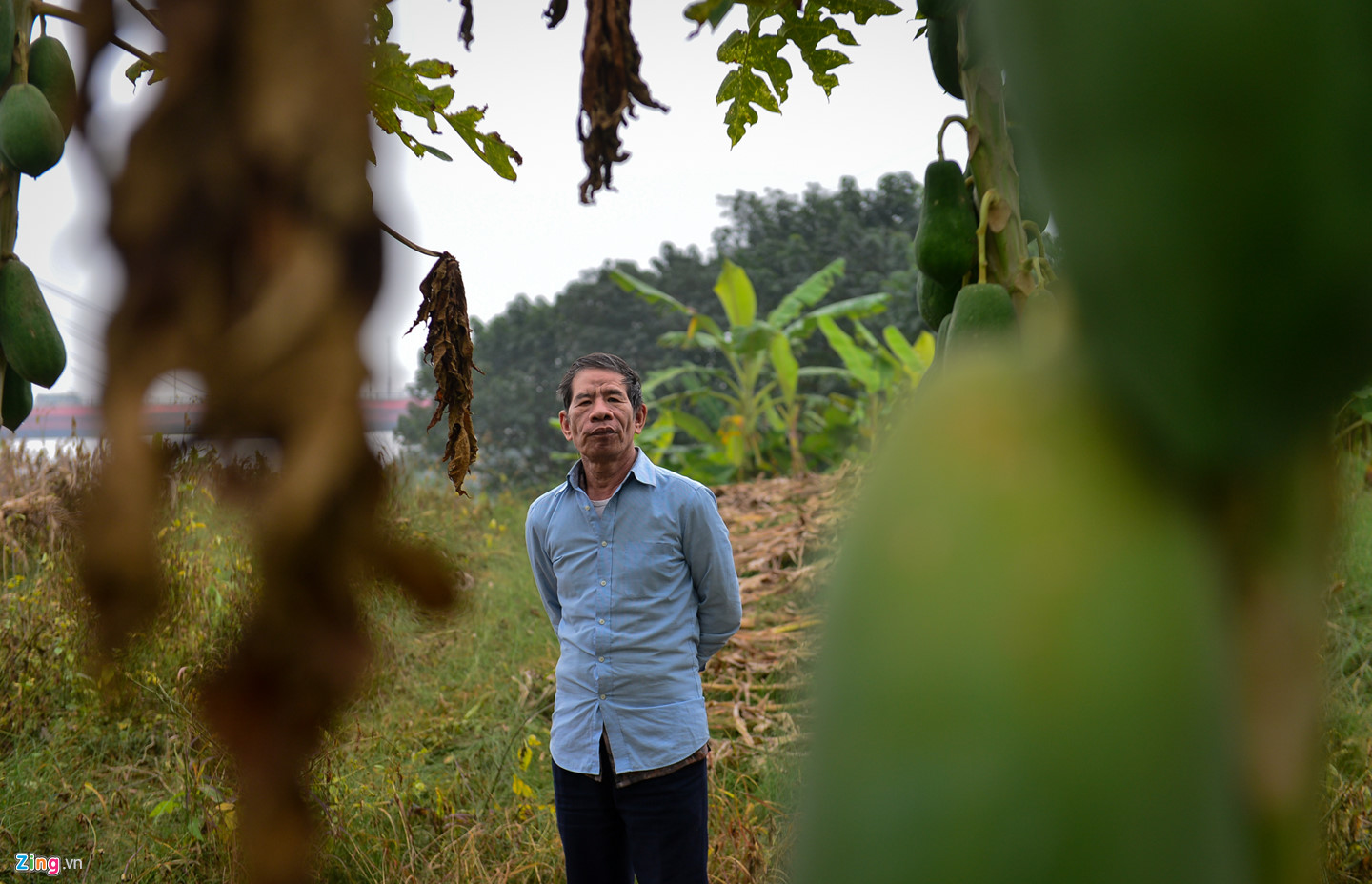 Cuộc sống trên hòn đảo bí hiểm giữa sông Hồng