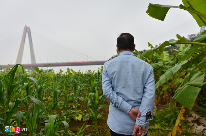 Cuộc sống trên hòn đảo bí hiểm giữa sông Hồng