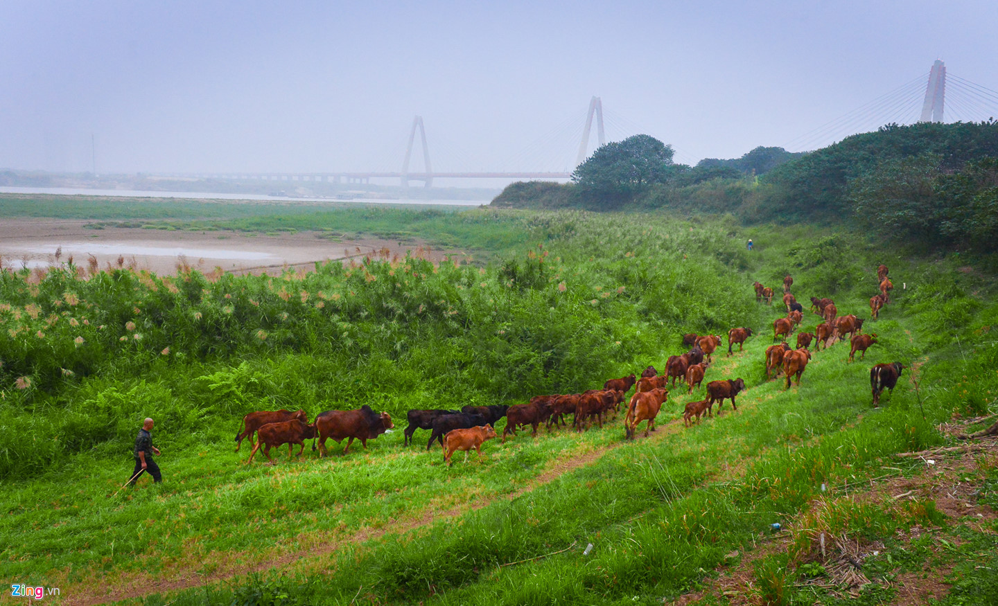 Cuộc sống trên hòn đảo bí hiểm giữa sông Hồng