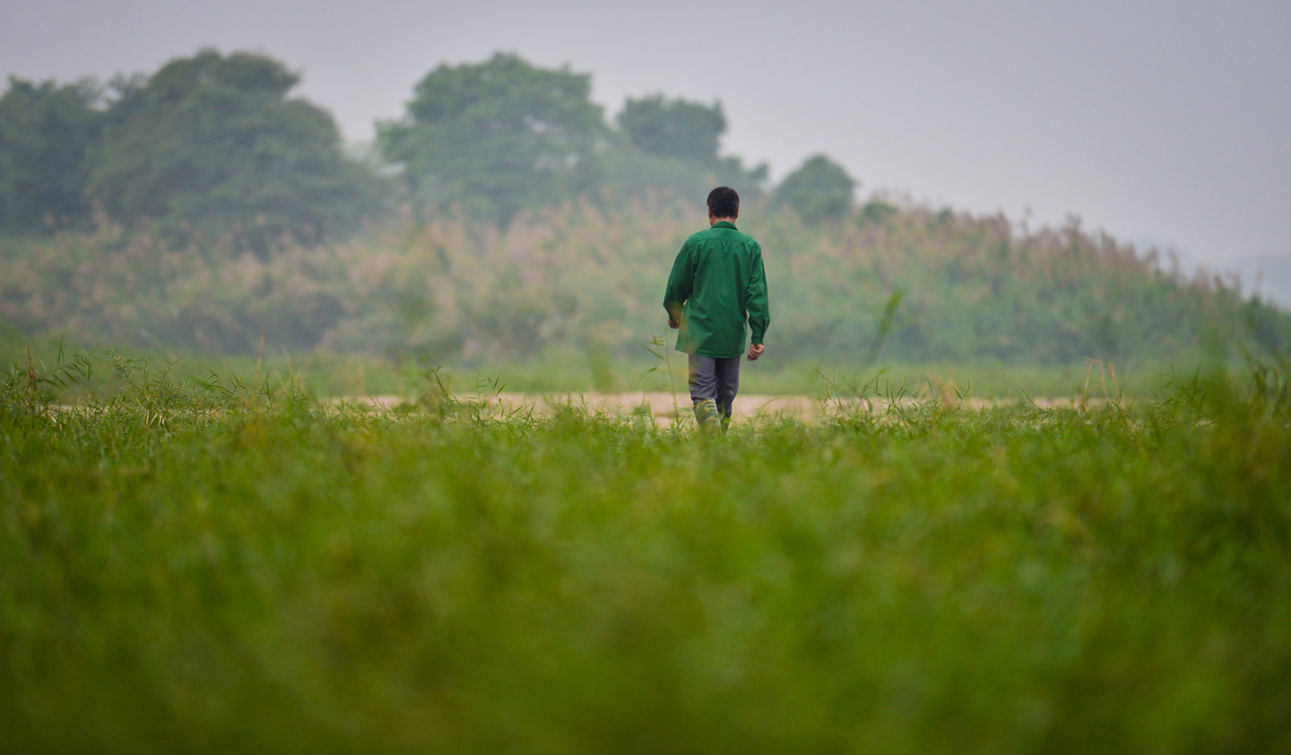 Cuộc sống trên hòn đảo bí hiểm giữa sông Hồng