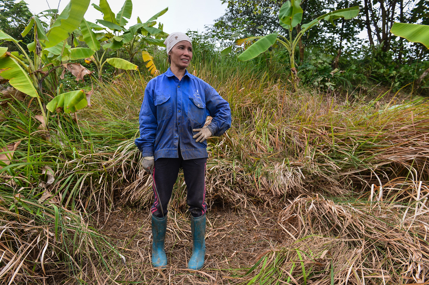 Cuộc sống trên hòn đảo bí hiểm giữa sông Hồng