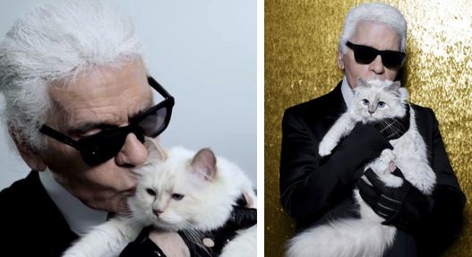 Mèo cưng của Karl Lagerfeld trở thành mèo giàu nhất thế giới với tài sản 3,4 triệu đô