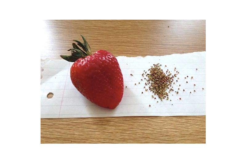 Dồn tình cảm đan chiếc khăn tặng bạn trai, cô gái trẻ bị phong danh hiệu nữ hoàng rảnh rỗi chỉ vì lý do này...