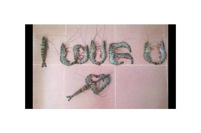 Dồn tình cảm đan chiếc khăn tặng bạn trai, cô gái trẻ bị phong danh hiệu nữ hoàng rảnh rỗi chỉ vì lý do này...