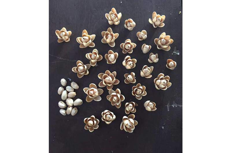 Dồn tình cảm đan chiếc khăn tặng bạn trai, cô gái trẻ bị phong danh hiệu nữ hoàng rảnh rỗi chỉ vì lý do này...