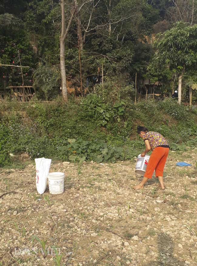 Vụ nữ sinh giao gà bị hiếp, giết: Họ chửi tôi là ác quỷ, bênh con