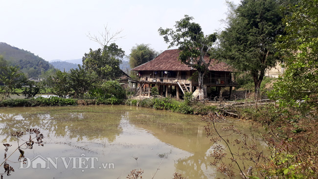 Vụ nữ sinh giao gà bị hiếp, giết: Họ chửi tôi là ác quỷ, bênh con