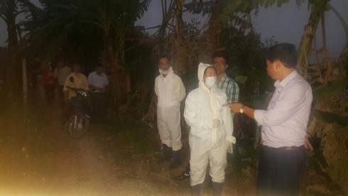 Người dân mang hàng trăm con lợn nhiễm dịch tả châu Phi đi tiêu hủy