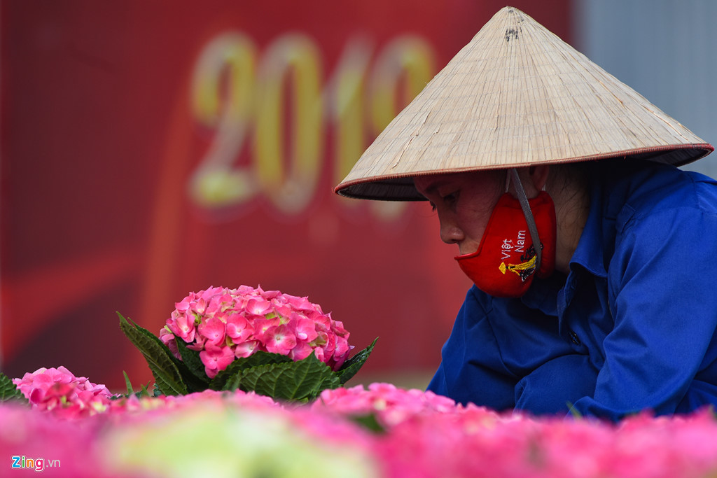Hoa từ Đà Lạt về trang trí Hà Nội đón hội nghị thượng đỉnh Mỹ - Triều