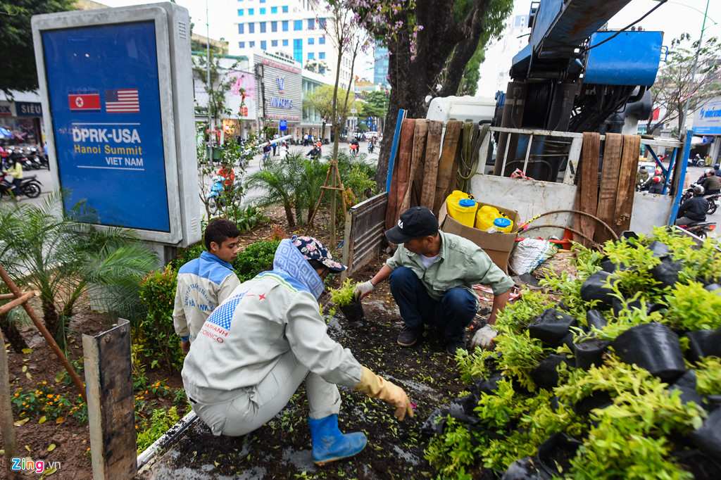 Hoa từ Đà Lạt về trang trí Hà Nội đón hội nghị thượng đỉnh Mỹ - Triều