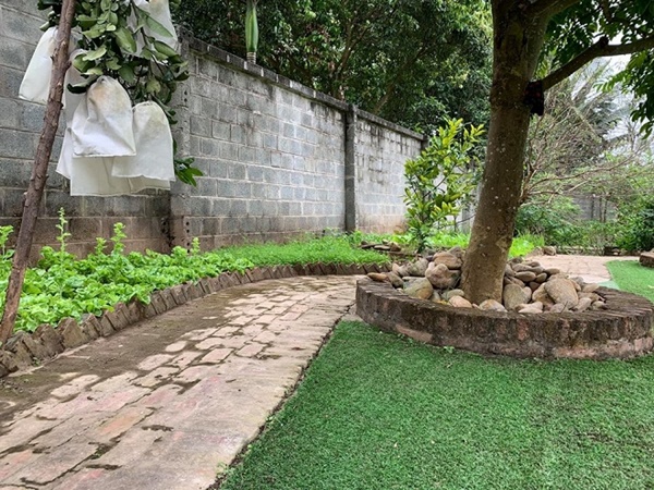 Chiêm ngưỡng cơ ngơi nhà vườn rộng rãi để trồng rau lúc tuổi già của vợ chồng Hồng Đăng sau 18 năm mơ ước