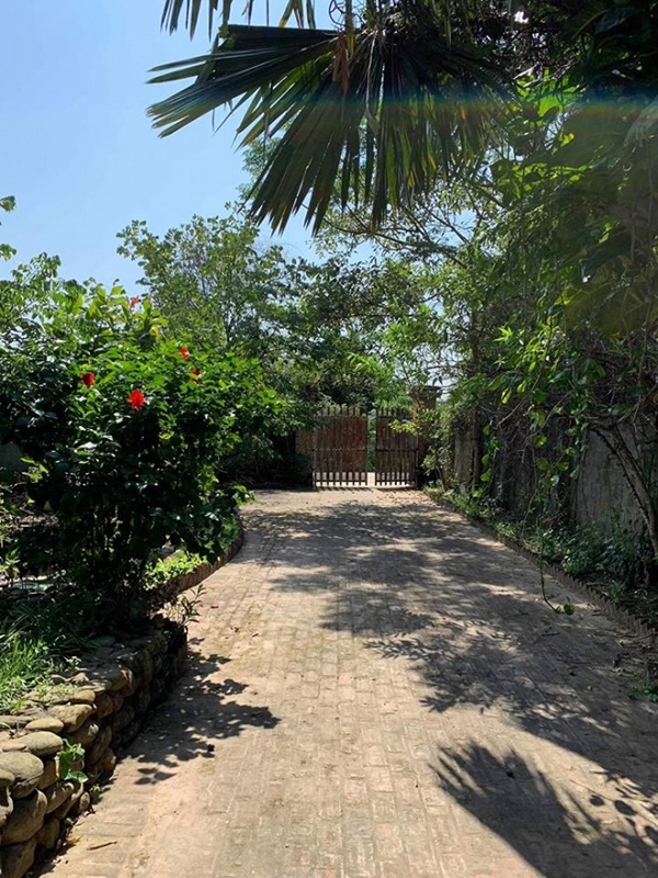 Chiêm ngưỡng cơ ngơi nhà vườn rộng rãi để trồng rau lúc tuổi già của vợ chồng Hồng Đăng sau 18 năm mơ ước