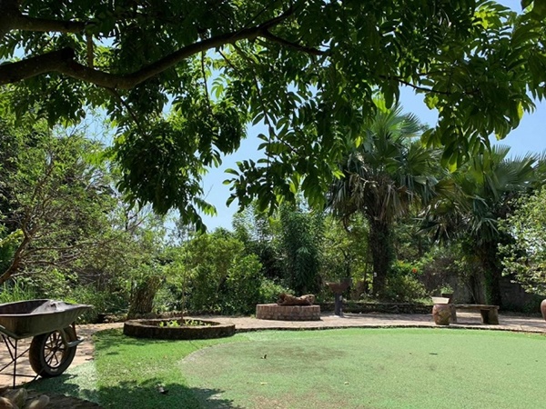 Chiêm ngưỡng cơ ngơi nhà vườn rộng rãi để trồng rau lúc tuổi già của vợ chồng Hồng Đăng sau 18 năm mơ ước