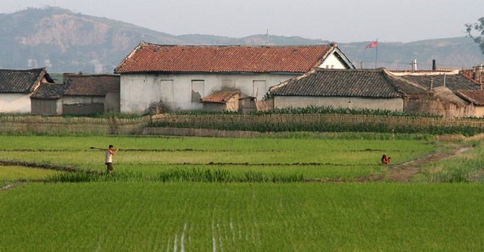 Triều Tiên cảnh báo khủng hoảng lương thực, cắt giảm khẩu phần