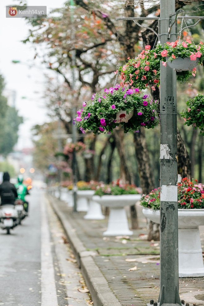 Công nhân Hà Nội làm việc xuyên đêm trước hội nghị thượng đỉnh giữa Tổng thống Donald Trump và nhà lãnh đạo Kim Jong-un