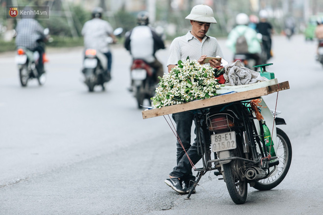 Hoa bưởi tháng 2 theo gió xuống phố Hà Nội, giá lên đến 300.000 đồng/kg vẫn cháy hàng