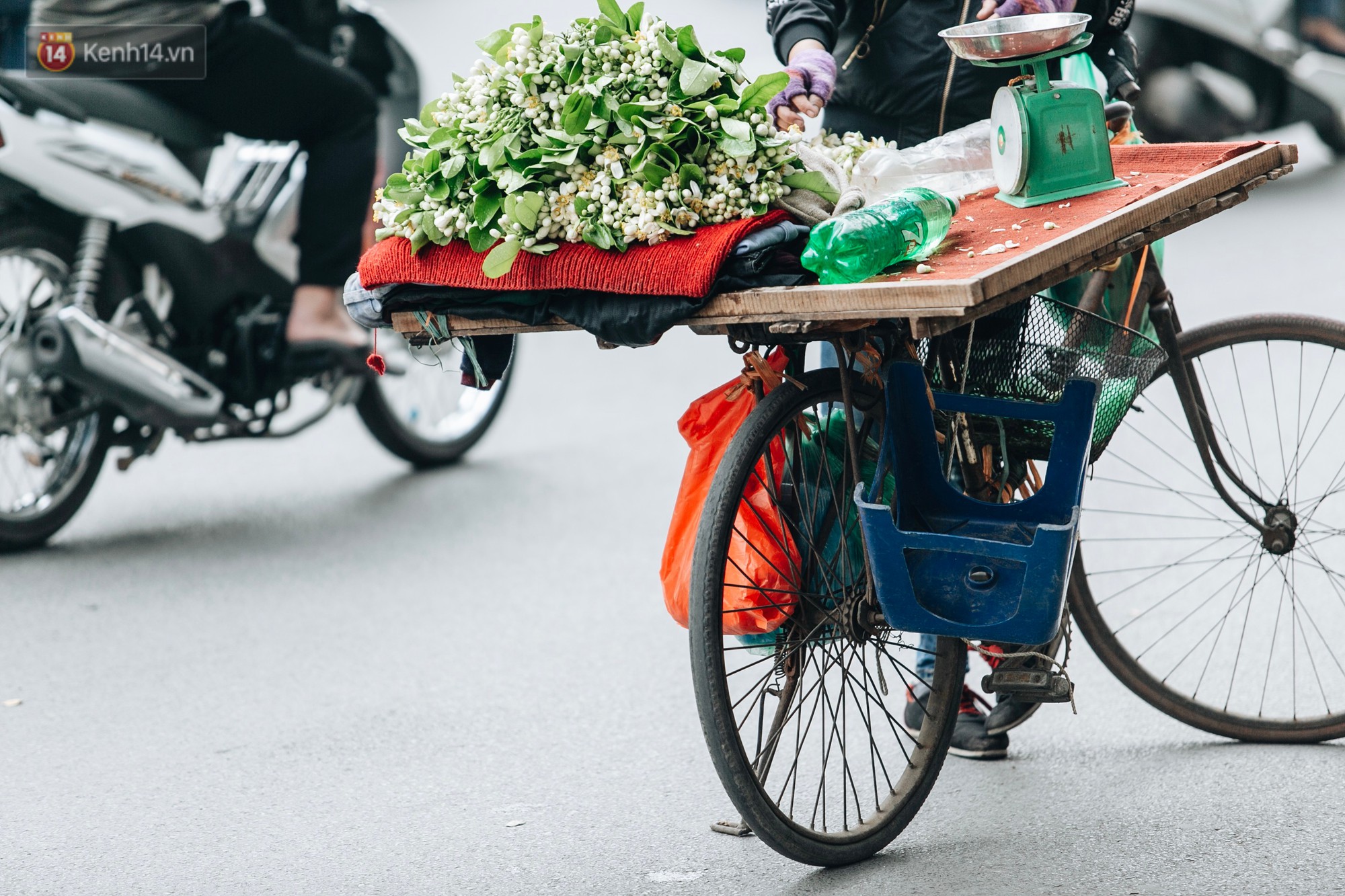 Hoa bưởi tháng 2 theo gió xuống phố Hà Nội, giá lên đến 300.000 đồng/kg vẫn cháy hàng