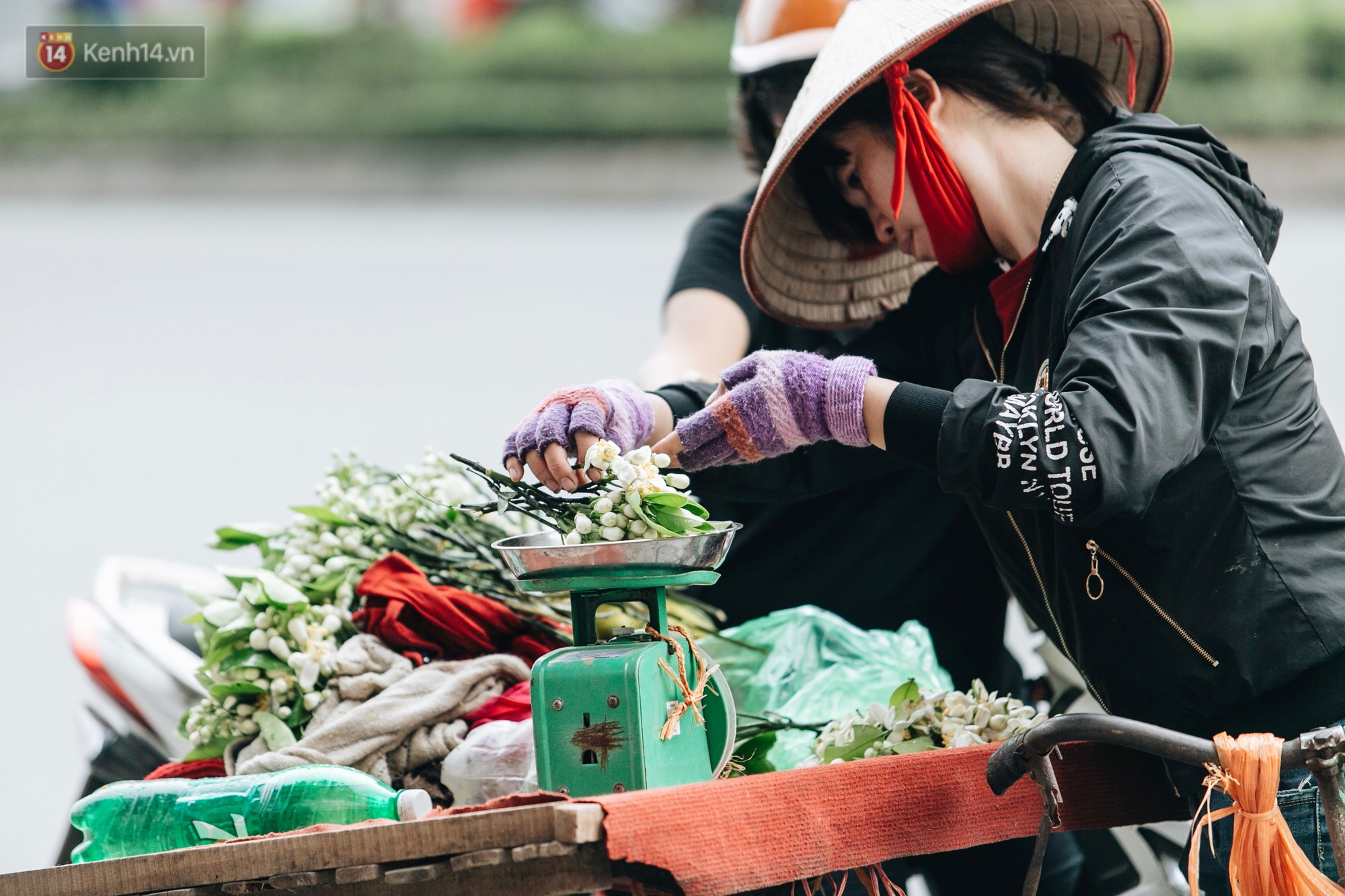 Hoa bưởi tháng 2 theo gió xuống phố Hà Nội, giá lên đến 300.000 đồng/kg vẫn cháy hàng