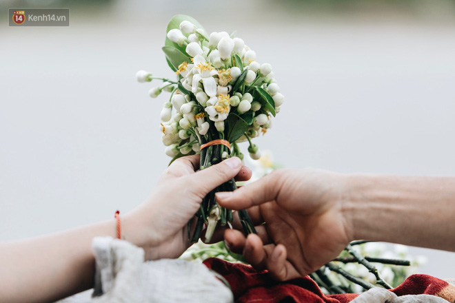 Hoa bưởi tháng 2 theo gió xuống phố Hà Nội, giá lên đến 300.000 đồng/kg vẫn cháy hàng