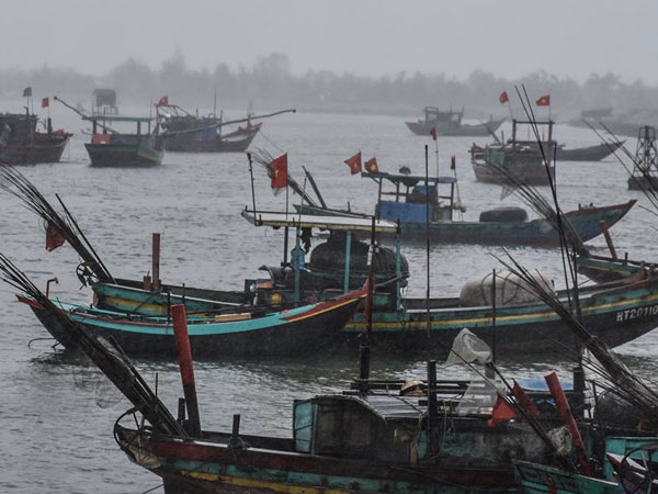 Bị gió tạt lúc cho thuyền cập bờ, 2 cha con ngư dân rơi xuống biển mất tích