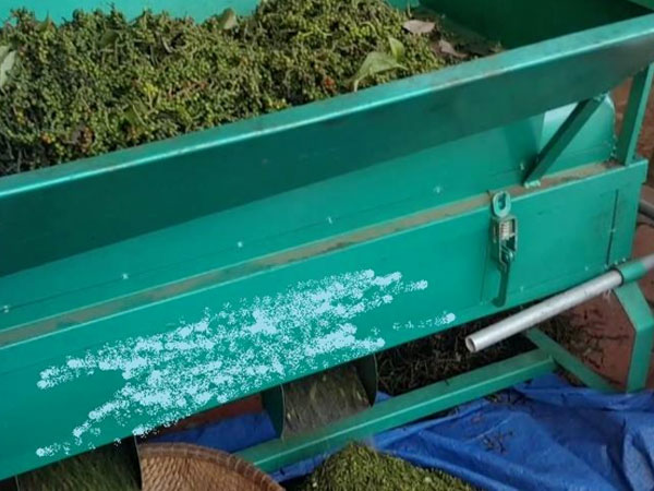 Bé gái bị máy tách hạt tiêu cuốn tróc da đầu